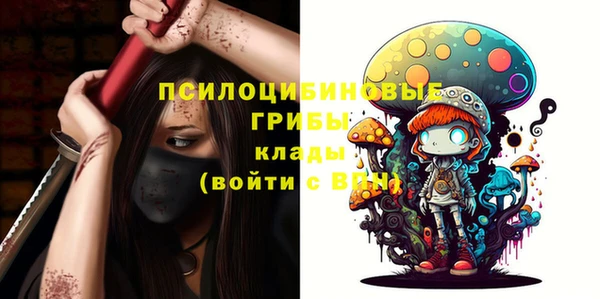 СК Абаза
