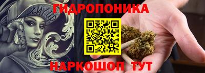 дживик Тверь