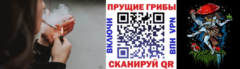 Псилоцибиновые грибы Psilocybe  Псков 