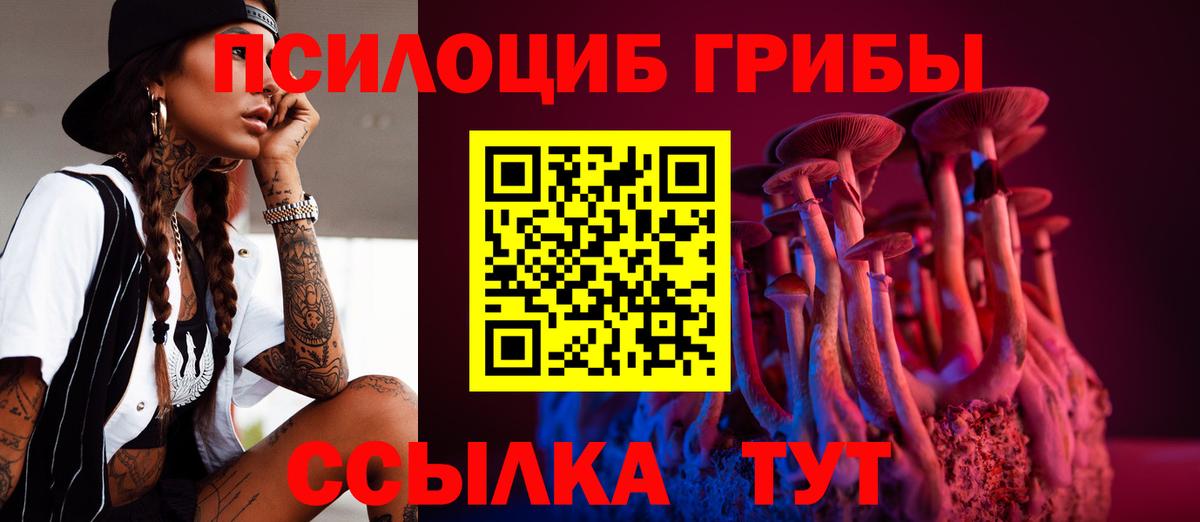 Псков  Псилоцибиновые грибы Cubensis  Вход с VPN 